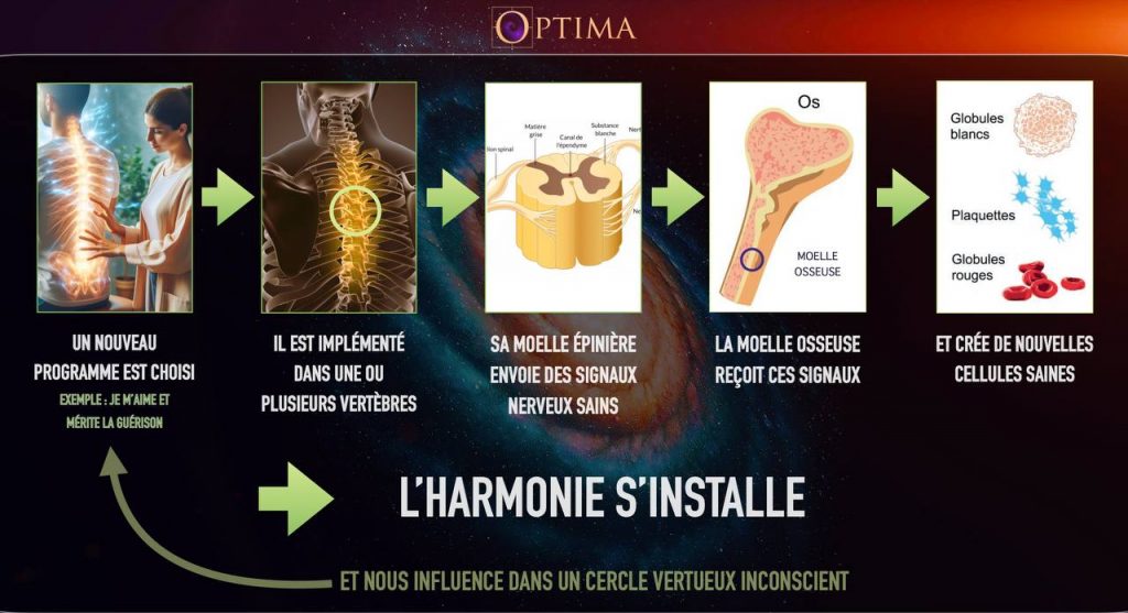 soin énergétique fabienne bouyssou mérignac et bordeaux