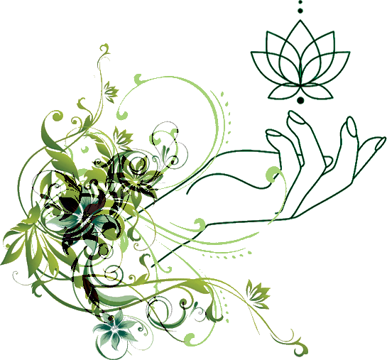 naturoapthe système digestif Fabienne Mérignac et Bordeaux